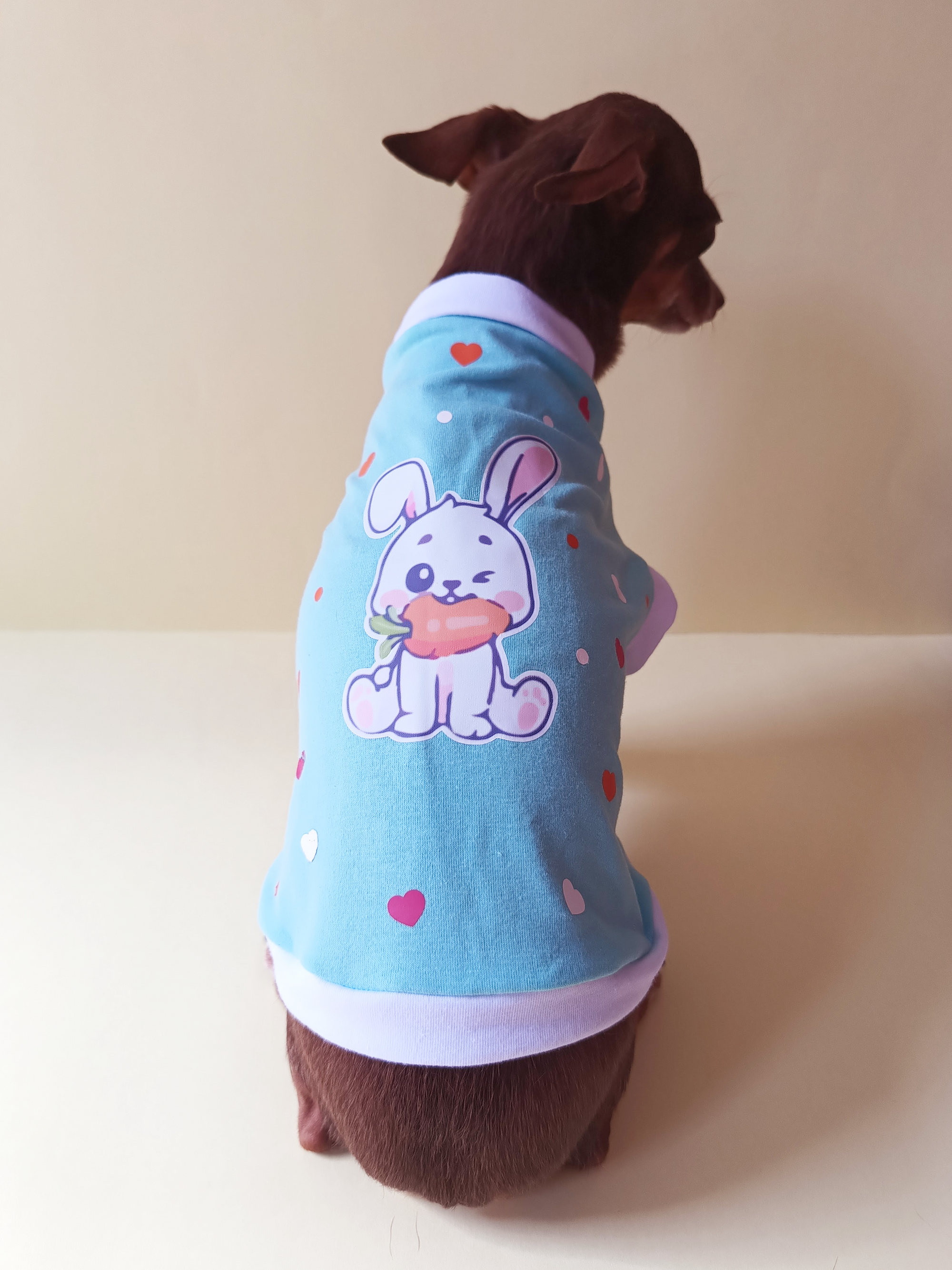 Diseño "Conejito y Corazones" - Ropa para mascotas