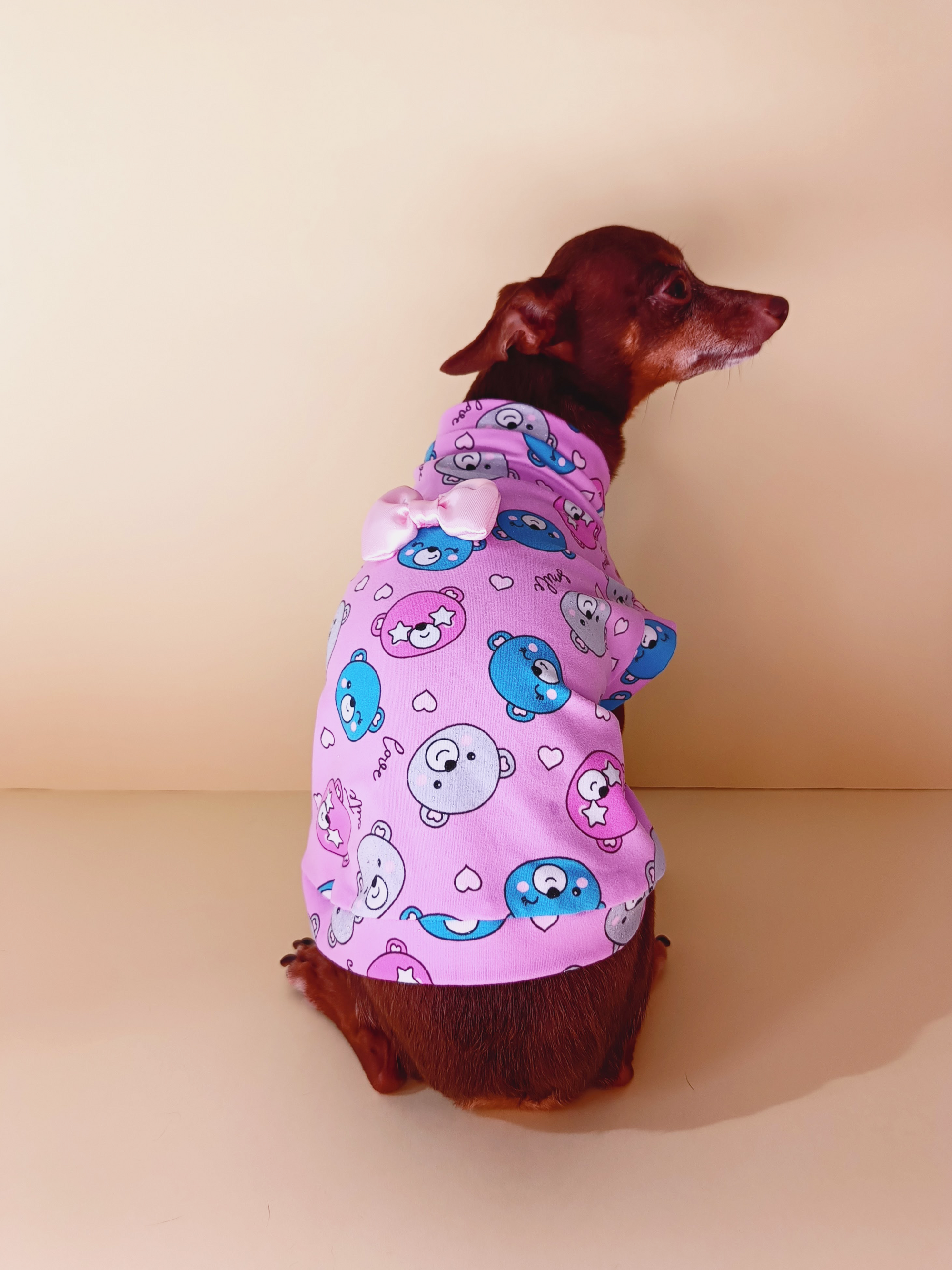 Diseño Patrón de Osos con Moño - Ropa para mascotas