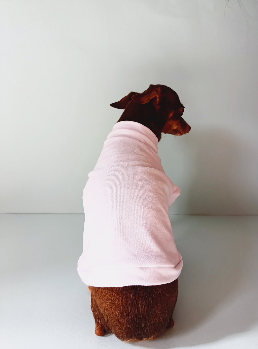 Fondo Blanco Básico - Ropa para mascotas