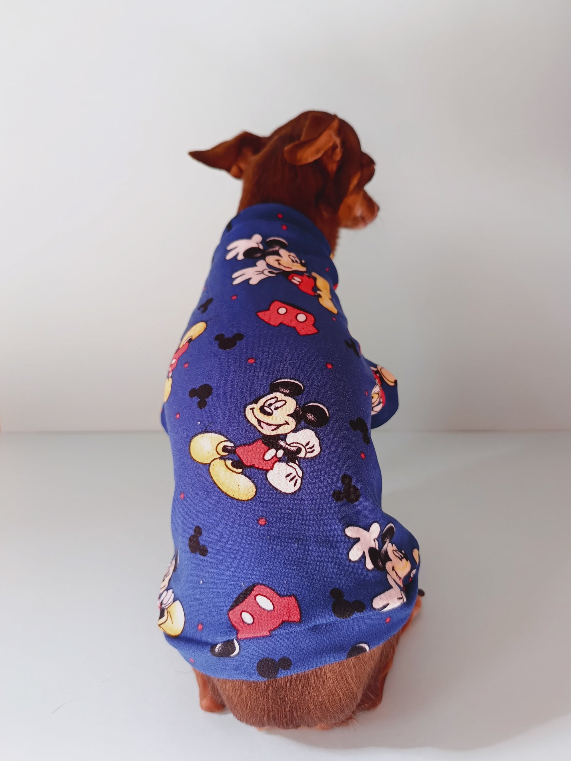 Patrón de Mickey Mouse - Ropa para mascotas