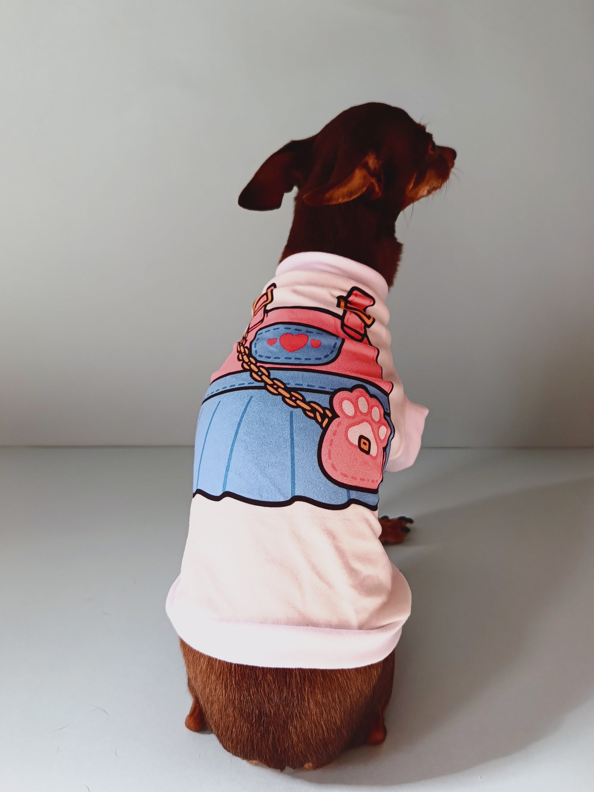 Diseño "Overall de Niña" - Ropa para mascotas