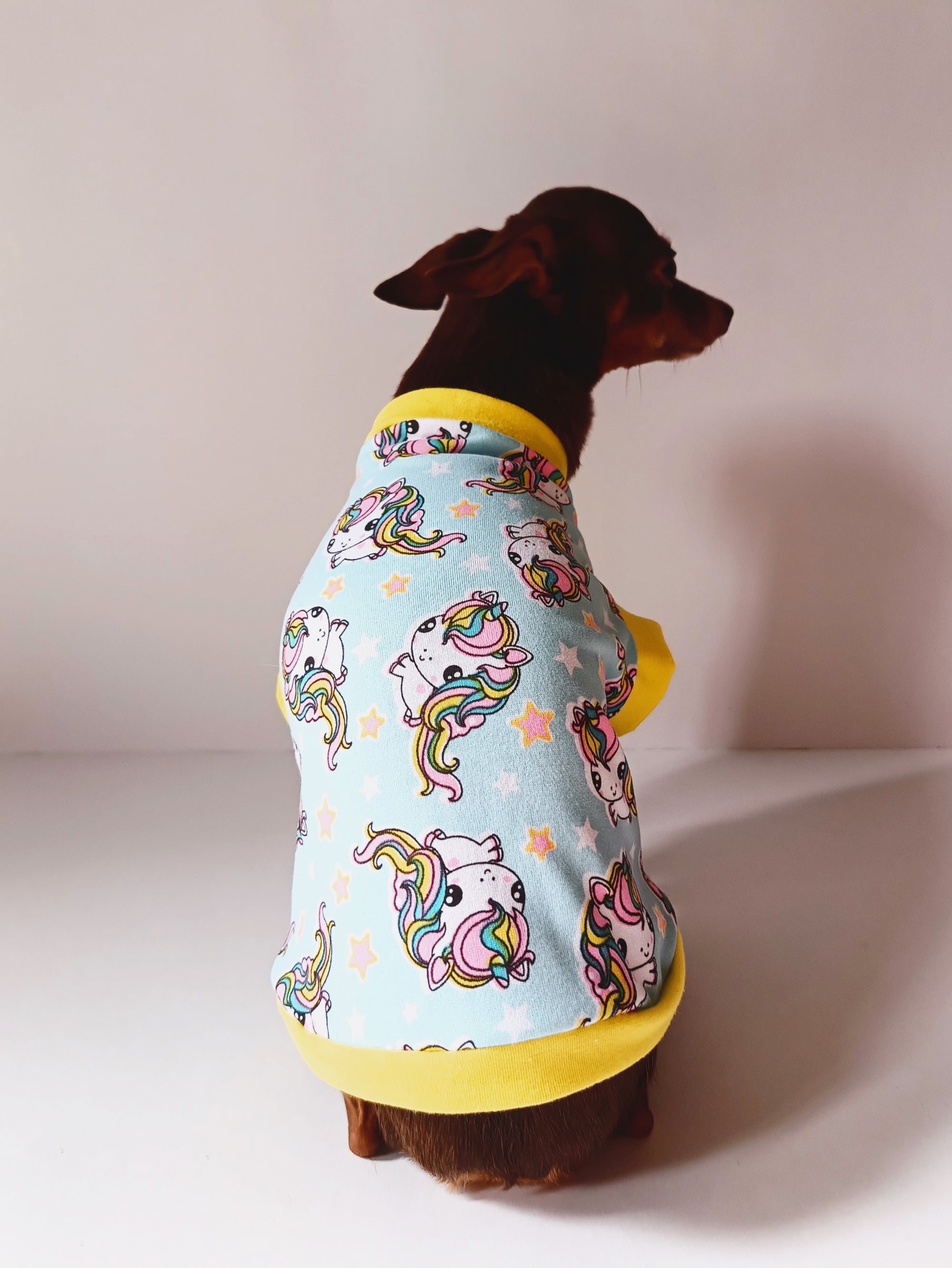 Diseño Patrón de Unicornios Borde Amarillo - Ropa para mascotas