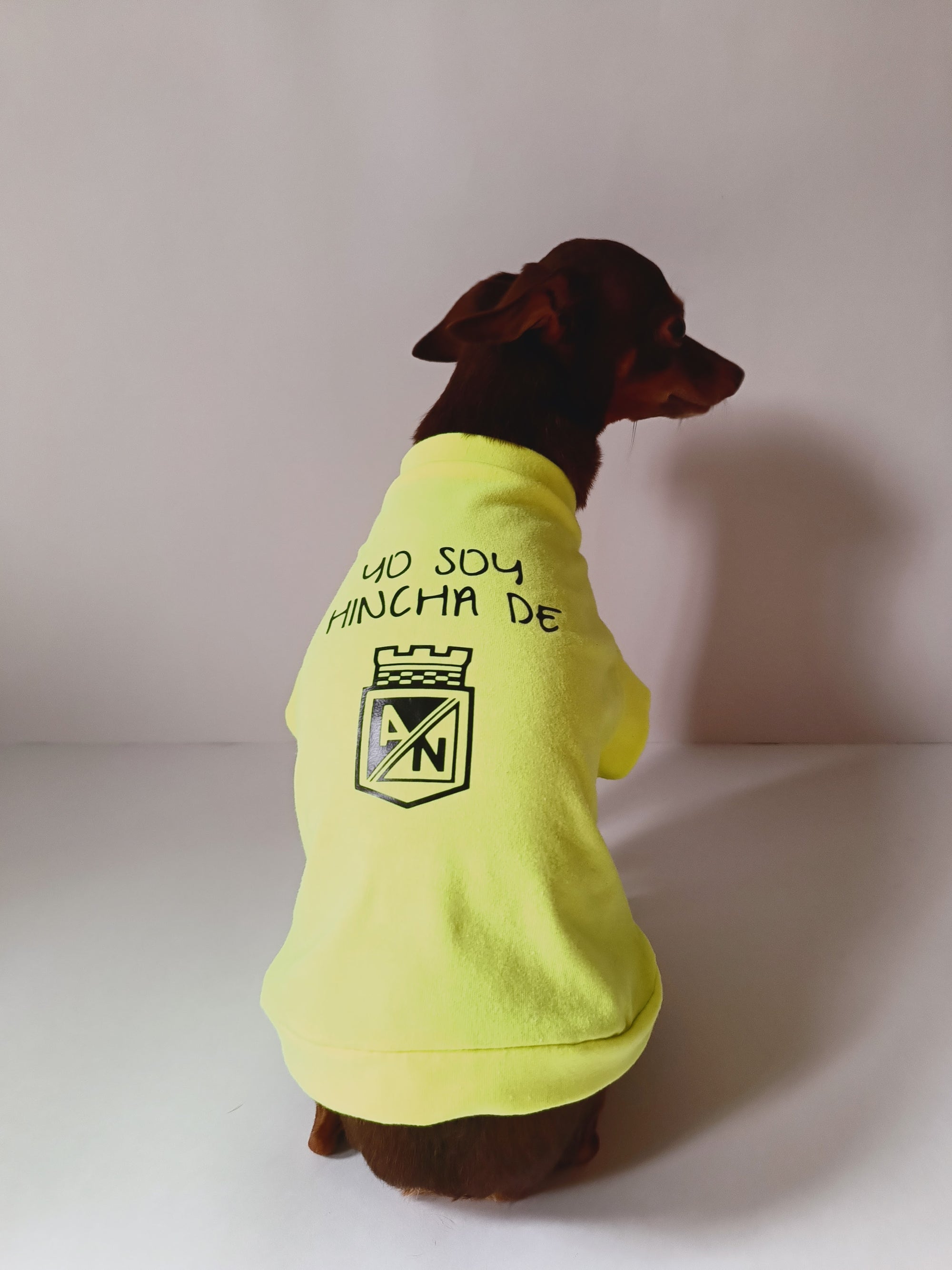 "Yo soy hincha de Atlético Nacional" - Ropa para mascotas