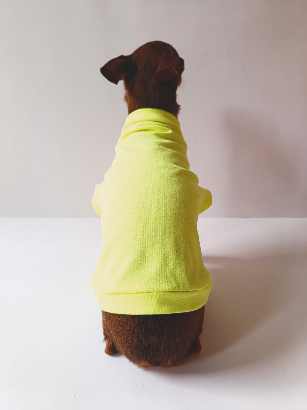 Fondo Verde Neón Básico - Ropa para mascotas