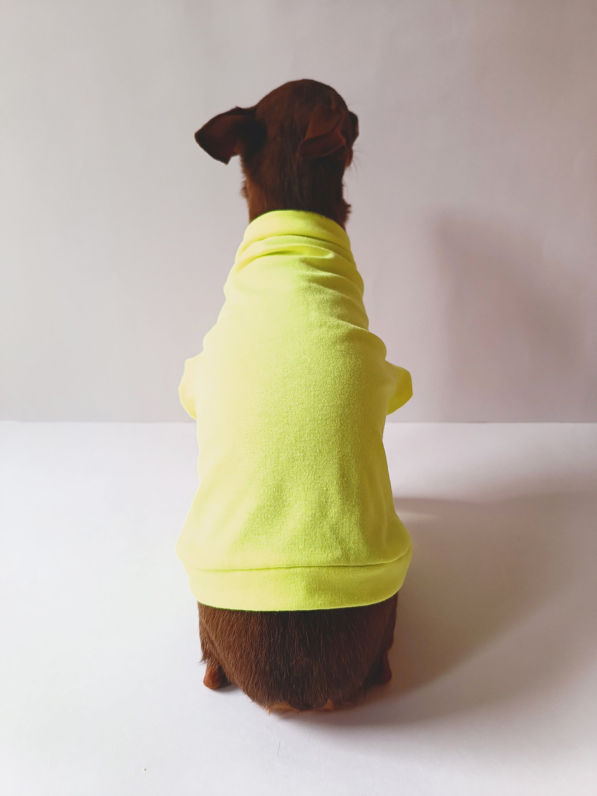 Fondo Verde Neón Básico - Ropa para mascotas