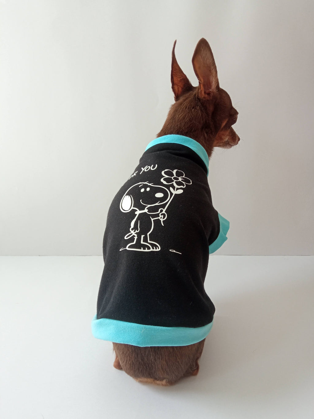 Diseño "For you" de Snoopy - Ropa para mascotas