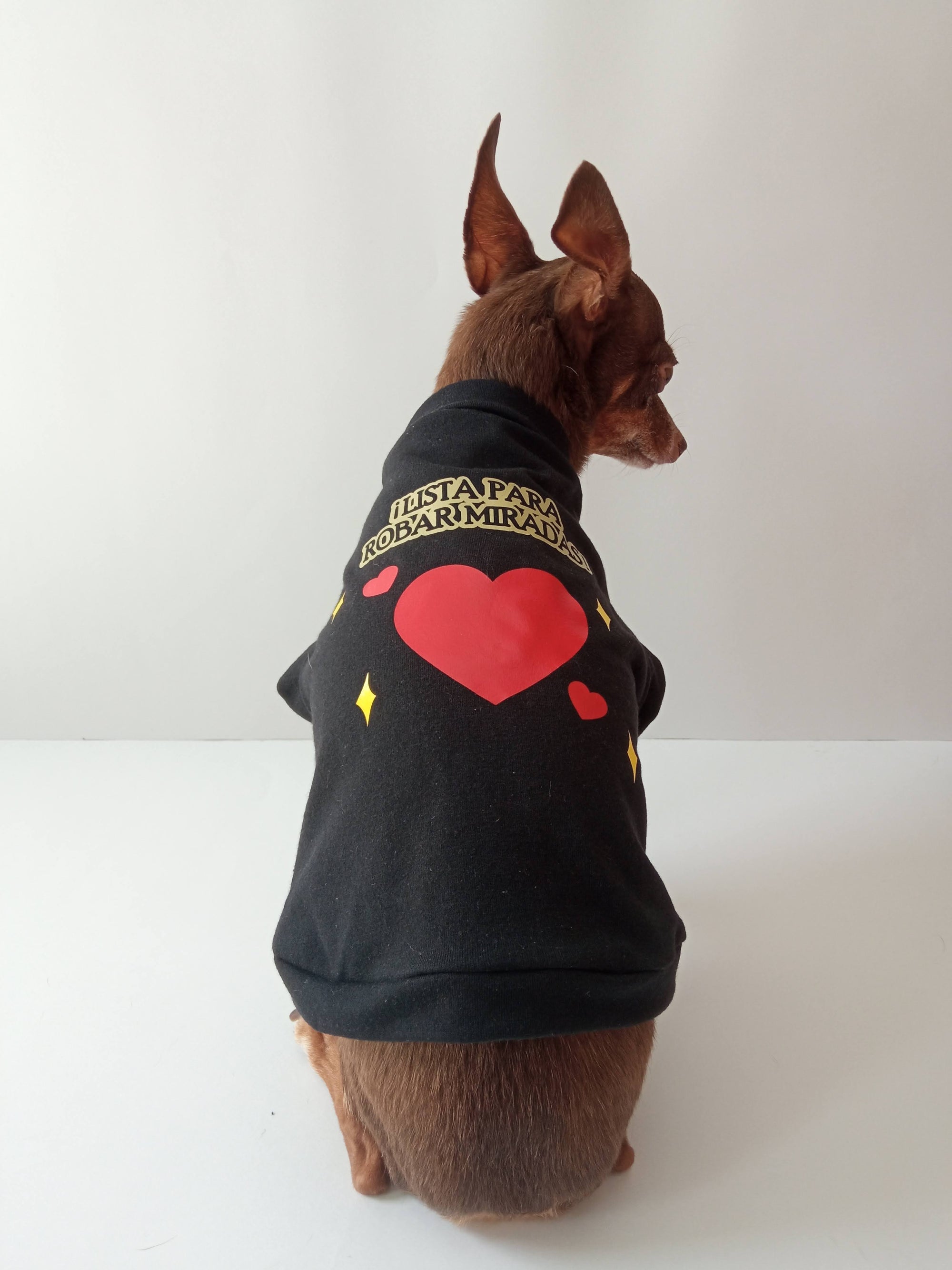 "Lista Para Robar Miradas" - Ropa para mascotas