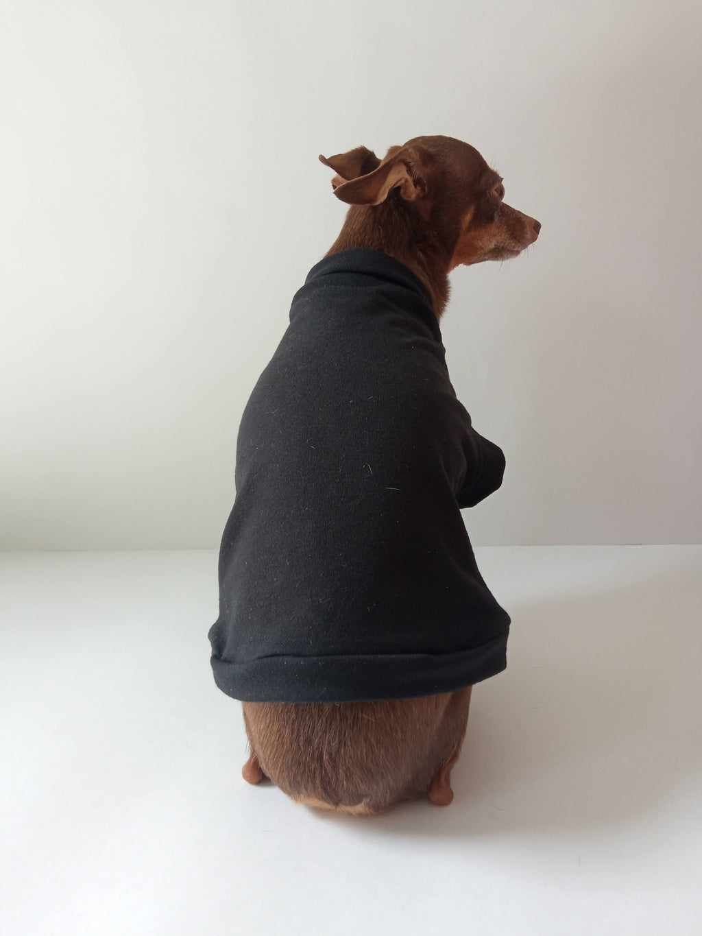 Fondo Negro Básico - Ropa para mascotas