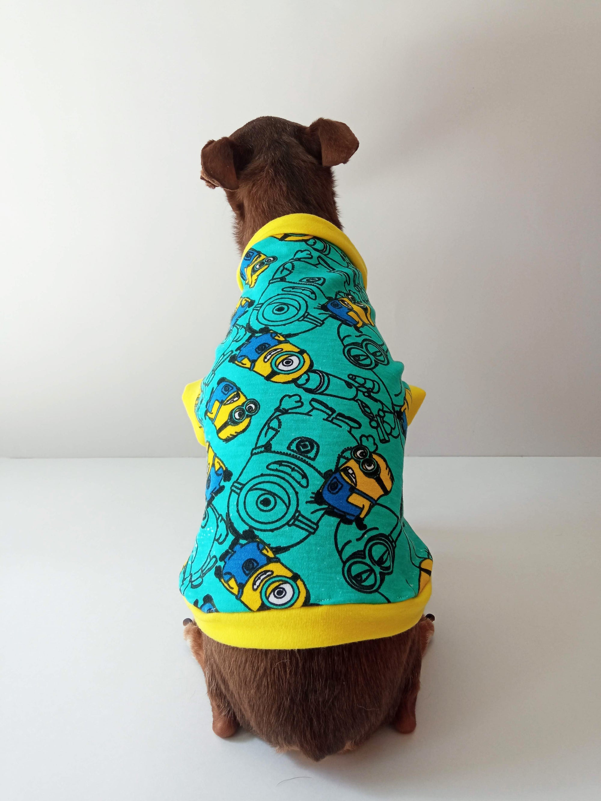 Diseño Patrón de Minions - Ropa para mascotas