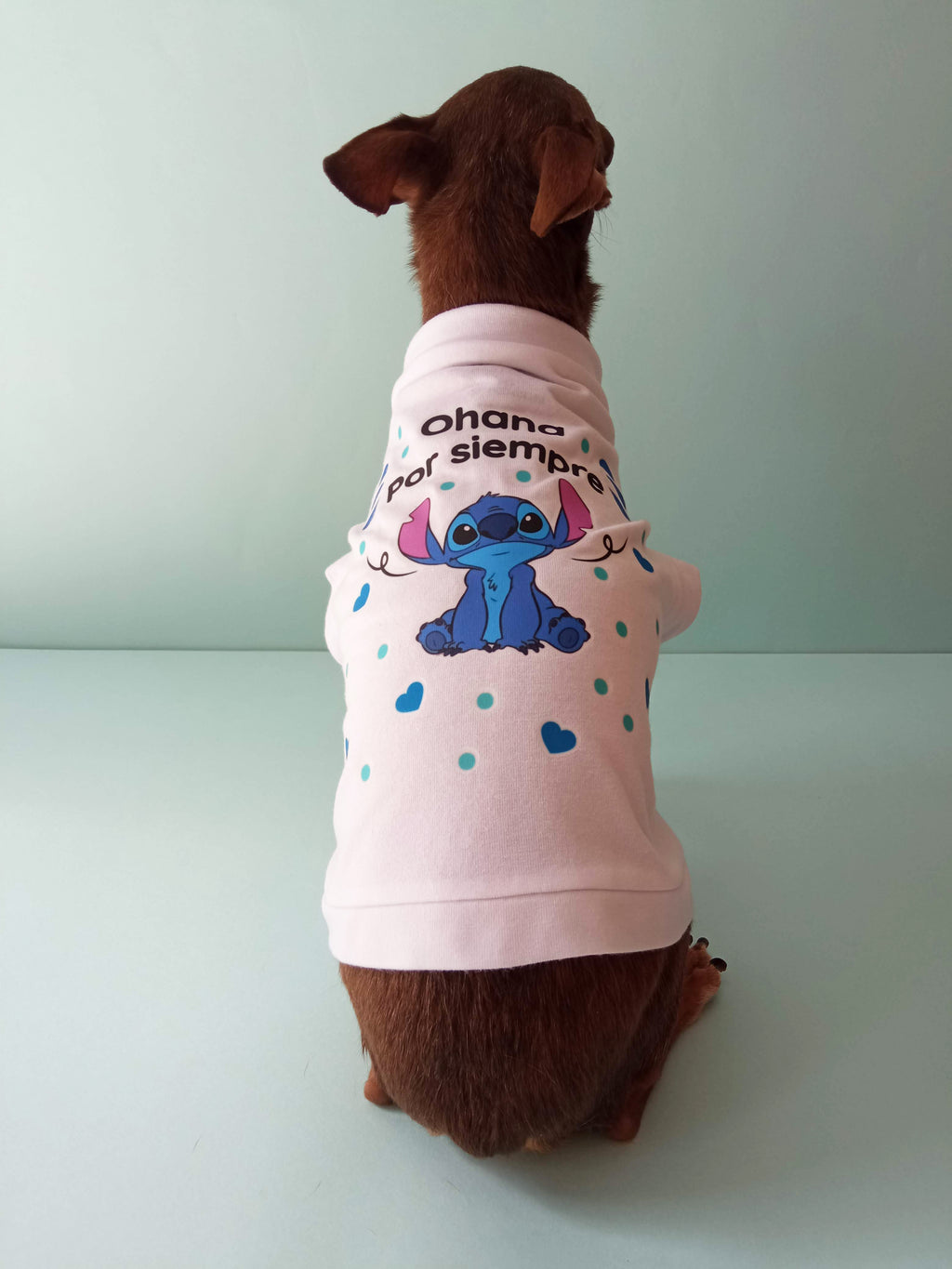 "Ohana por siempre" de Lilo y Stitch - Ropa para mascotas