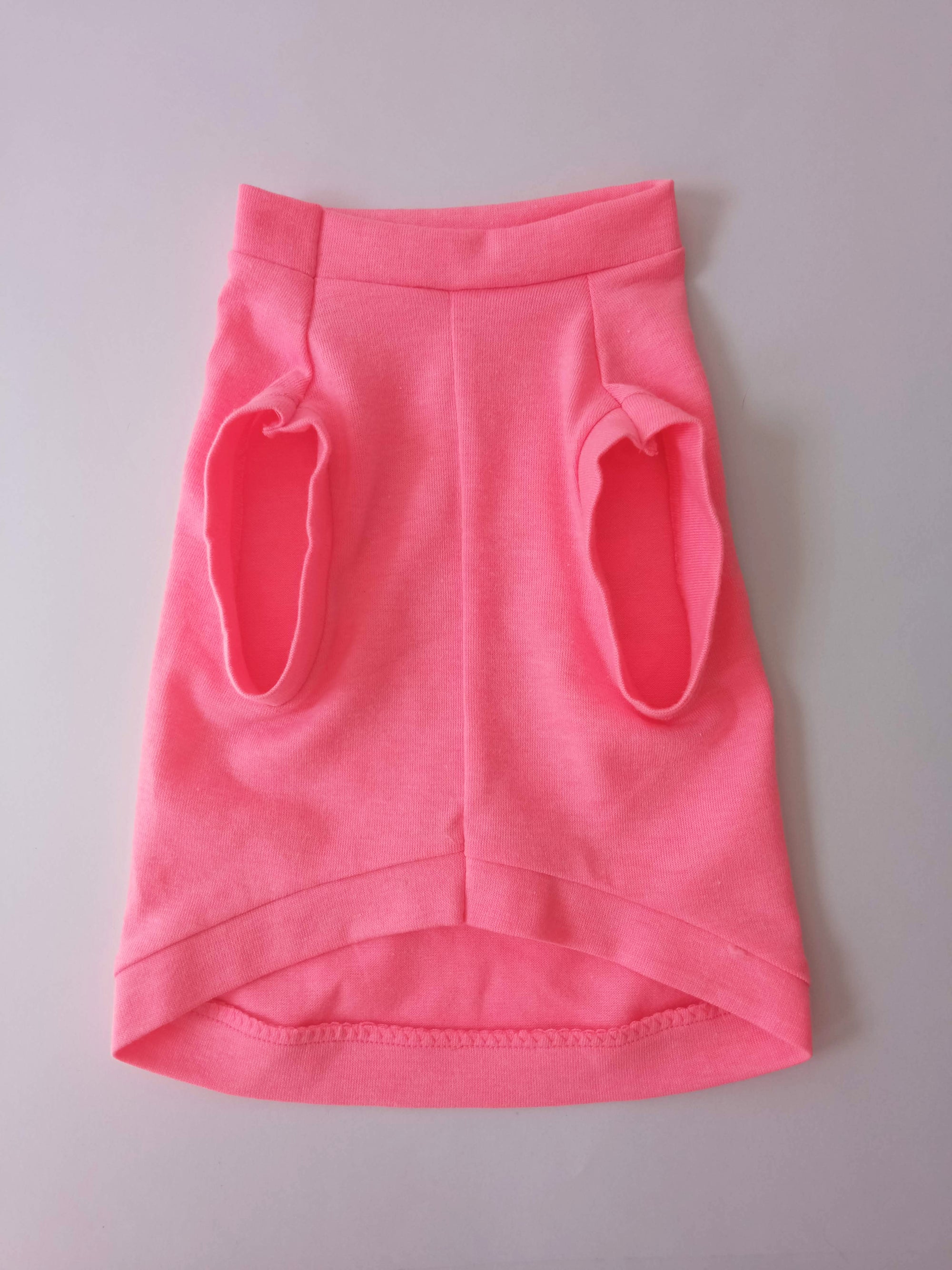Diseño "Soy chiquita y Muy Valiente" - Ropa para mascotas