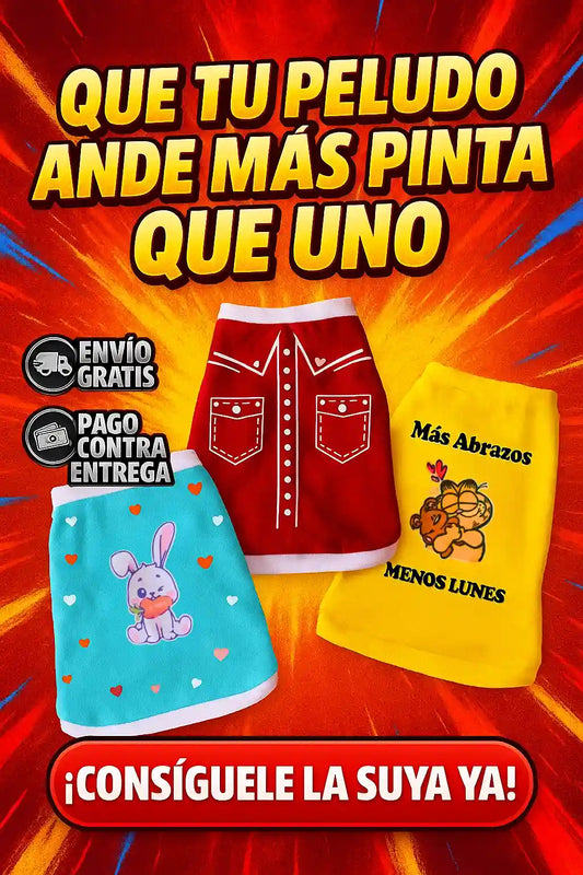 Pack 3 Outfits para Mascotas
