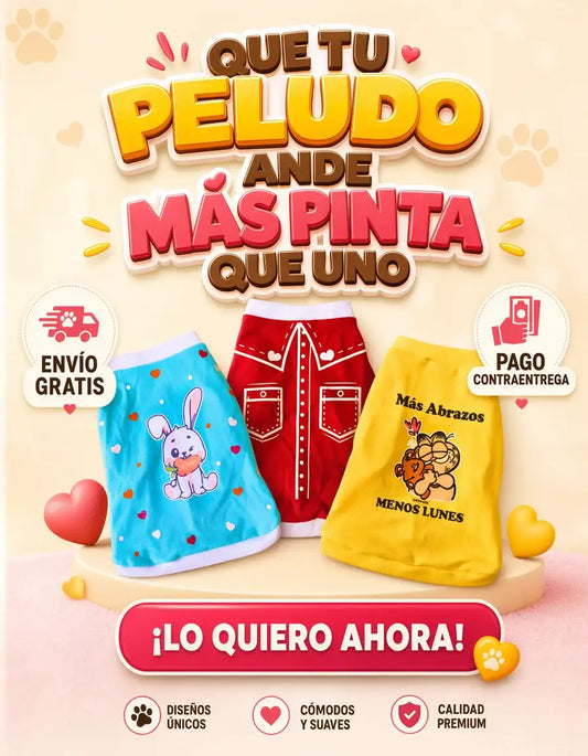 Pack 3 Outfits para Mascotas