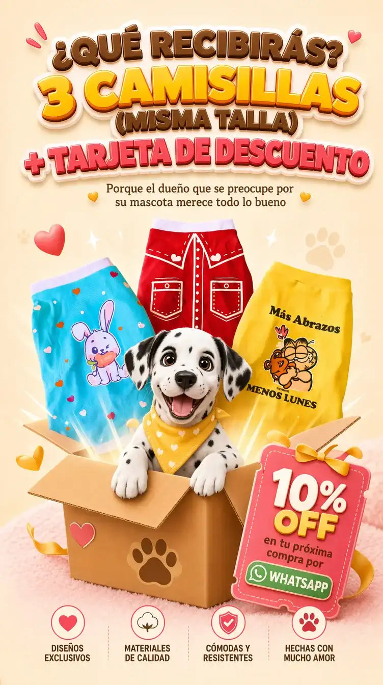 Pack completo de 3 camisillas DYSAR
